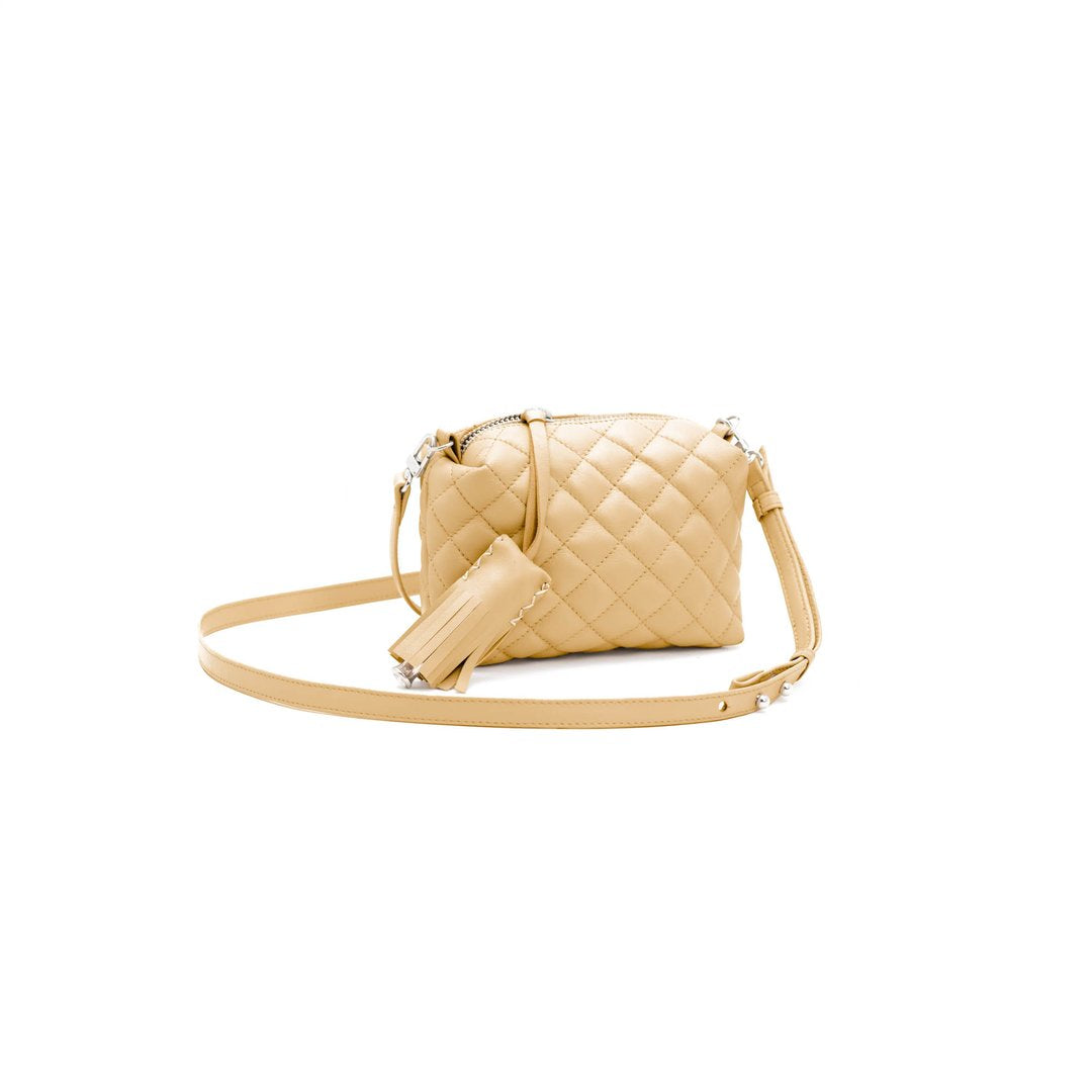 Mini Crossbody