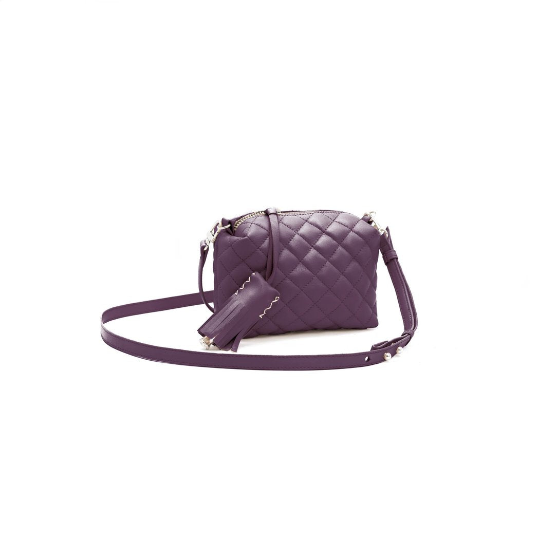 Mini Crossbody