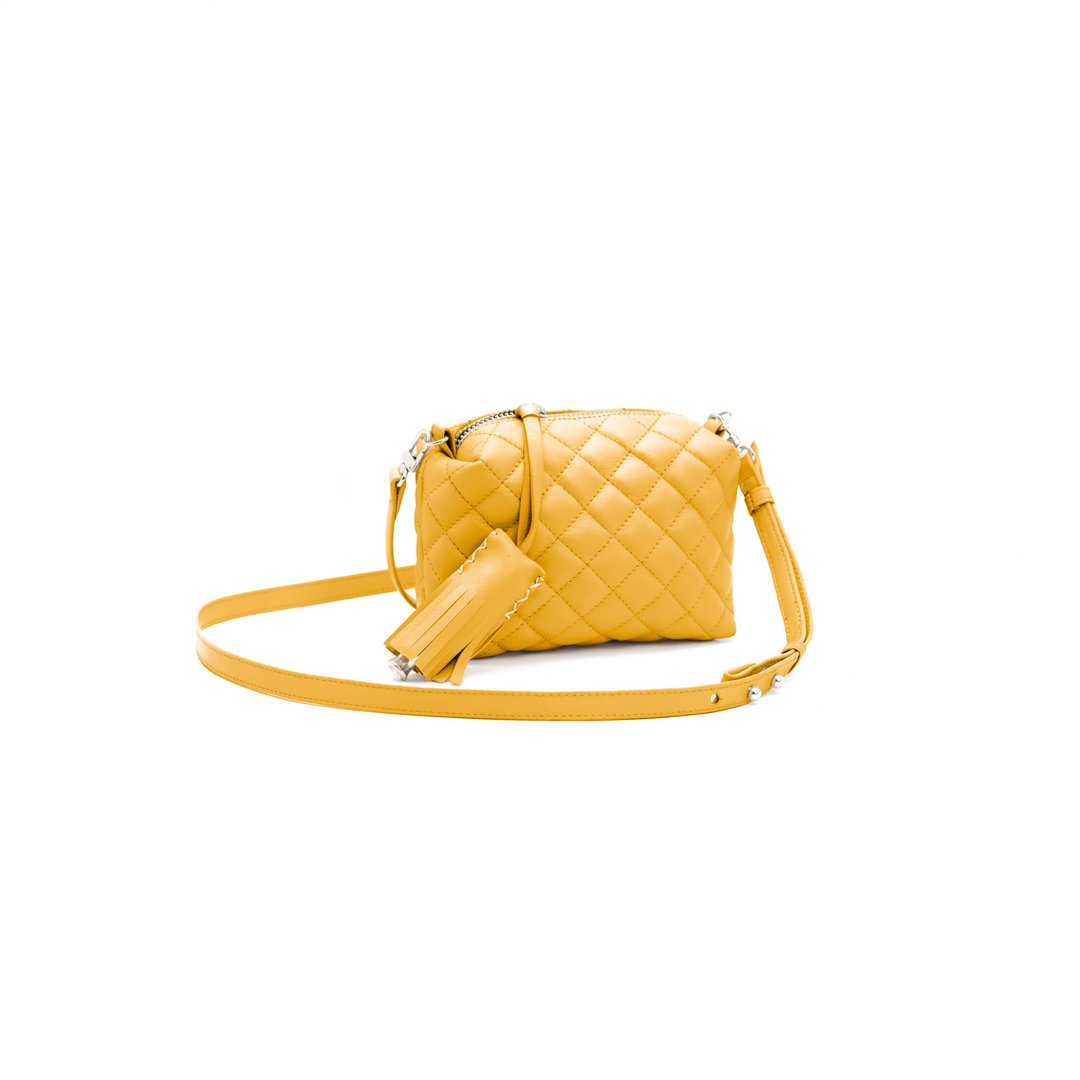 Mini Crossbody